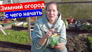 Зимний Квартирный Огород На Подоконнике. С Чего Начать, Какие Семена Посадить Без Заморочек