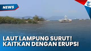 Witness Captures the Moment Sea Levels Recede on the Coast of Lampung
