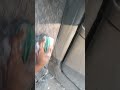 Baleno Drycleaning Washing #carwash #youtube #marutisuzuki #viralvideo #trending #trendingvideo