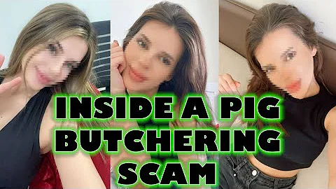 Inside a Pig Butchering Scam