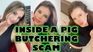 Inside a Pig Butchering Scam by Jim Browning 2,431,153 views 2 months ago 16 minutes