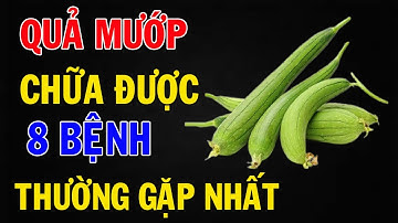 Tin Vui: 8 Công Dụng Tuyệt Vời Của Quả Mướp Chữa Được 8 Căn Bệnh Thường Gặp Nhất.