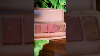 S.f.r eyeshadow palette review 170Rs #shorts #trending #makeup #products #review
