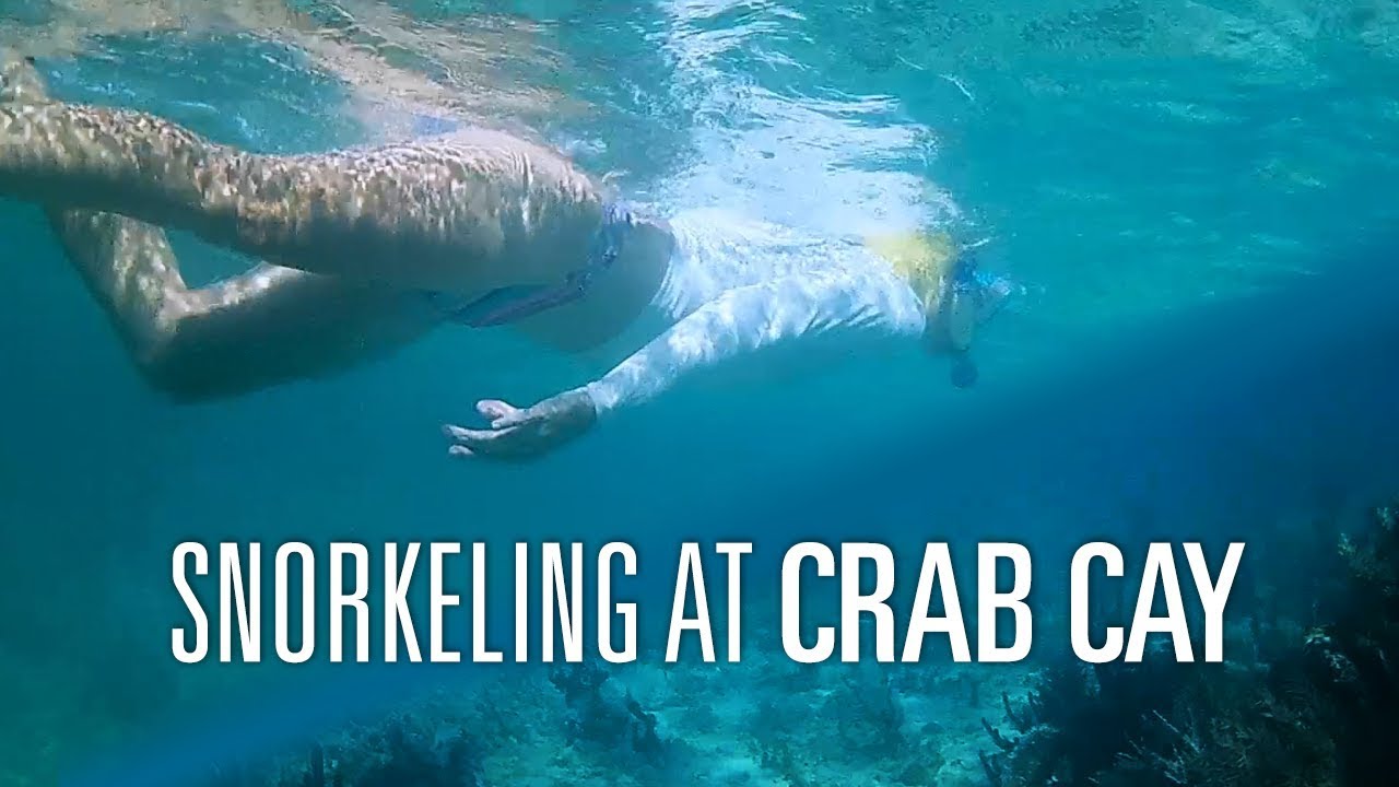 Snorkeling at Crab Cay in the Exumas [Adventure Log Extra – May 2019]