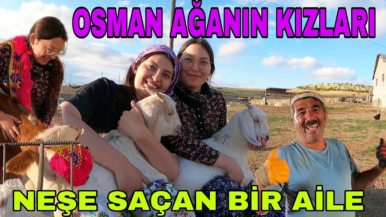 OSMAN AĞANIN KIZLARI!! BİR ÇİFTLİK BİN MUTLULUK|GÜLMEDEN DURAMAYAN OSMAN ABİ