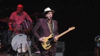 Watch Webb Wilder Nashville Bum video