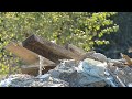 Берут с поличным: рейд по нелегальным мусорщикам в Краснодаре набирает обороты