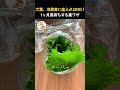 大葉を買ってそのまま入れてる人、マジでもったいないです!たった一つの「あの工夫」だけで、1ヶ月後もピンピンのまま。