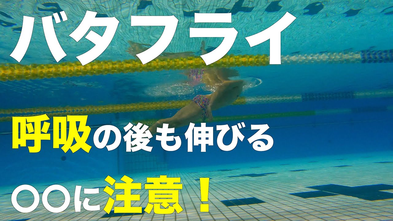 伸びのあるバタフライを身につける為には呼吸の時の と のタイミングが大事 バタフライ 水泳 Youtube 伸びのあるバタフライを身につける為には呼吸の時の と のタイミングが大事 バタフライ 水泳 Youtube