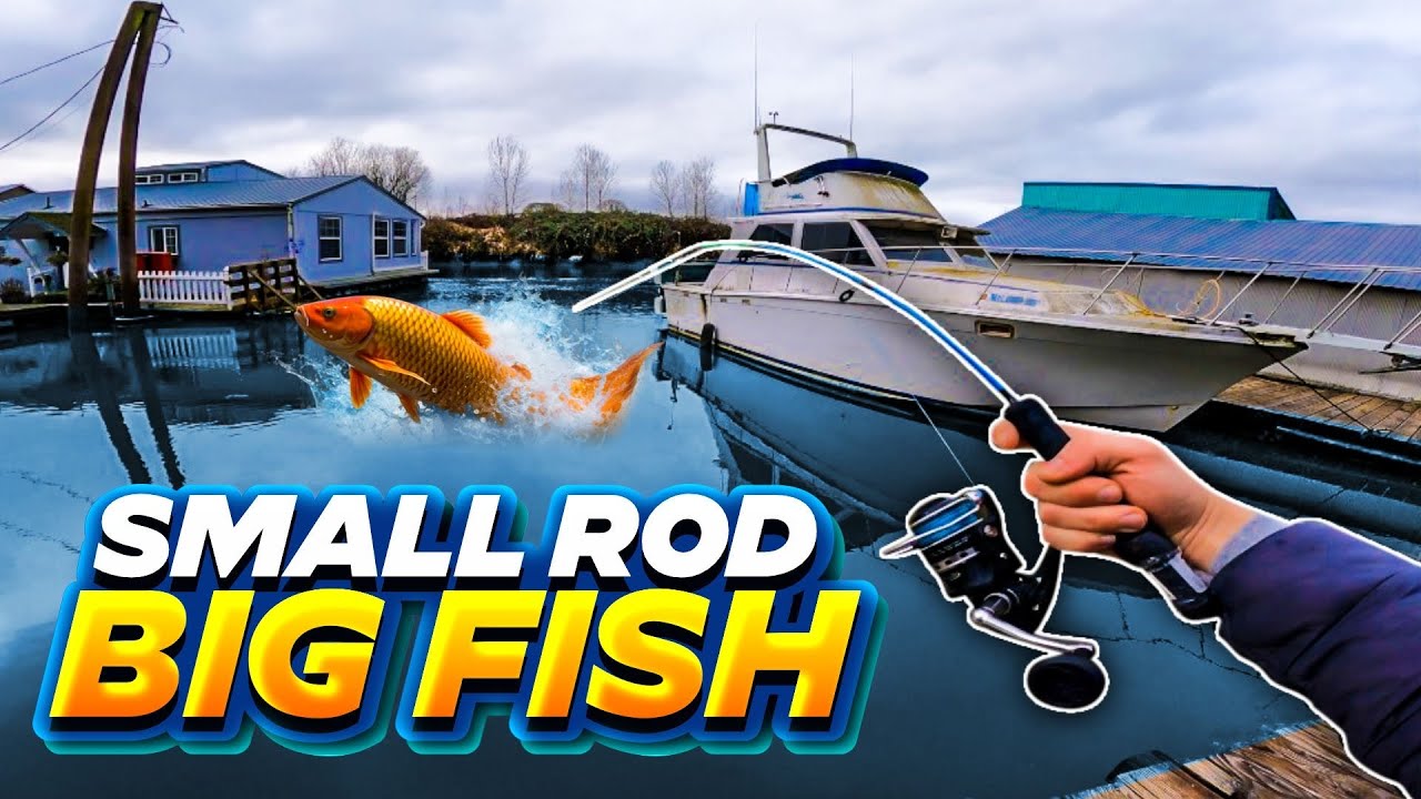 Worlds Smallest Rod VS Record Breaking Carp!! YouTube