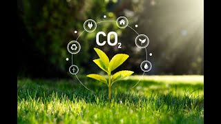 Green Horizons  Pioneering Decarbonization in the Modern World (2 Minutes)