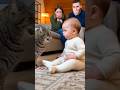 初めて猫に文句を言われた赤ちゃん、どうしていいか分からず固まってしまう。。。#cat #cats #baby #cute #funny #shorts #shortvideo #赤ちゃん #猫