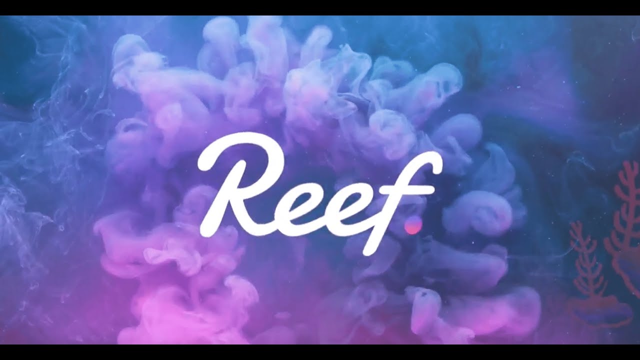 Explore the Future Vision of Reef Chain