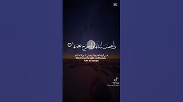 زهرة-القرآن-الكريم| القارئ-إسلام-صبحي| #راحة_نفسية #اكسبلور #لايك #قرآن 🏵️🌼🍀🪻🪻🪻🪻🍀♥️💓💓💓💓💓♥️♥️♥️
