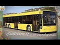 "Транспорт в России". Волжанин "Ситиритм" и его модификации | "Transport in Russia". Bus "Volgabus"