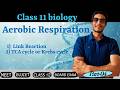 TCA cycle and Link reaction || Respiration in Plant 🌿 part - 04