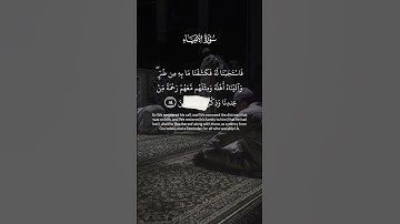 تلاوة خاشعة القارئ هيثم الدخين [ الأنبياء: الآية 83- والآية84]