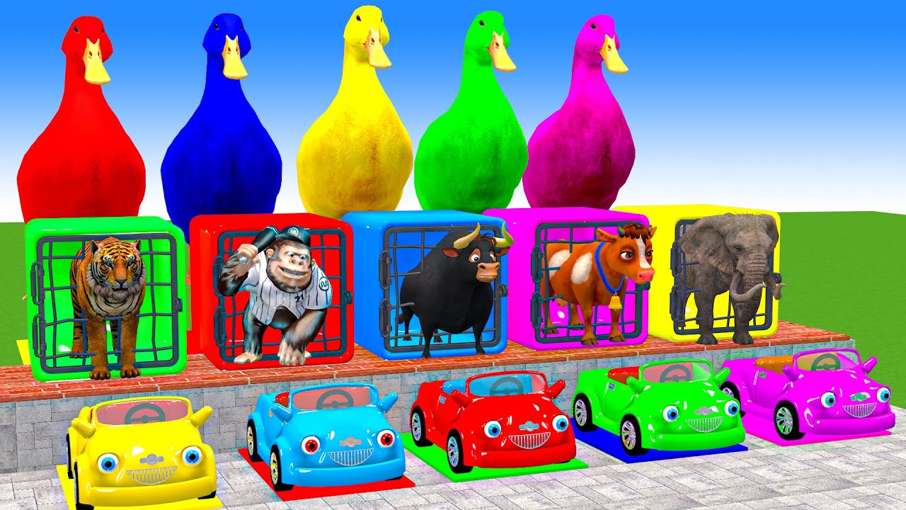Long Slide Game With Cow Elephant Gorilla Hippopotamus Tiger 3d Animal Game Funny 3d Animals