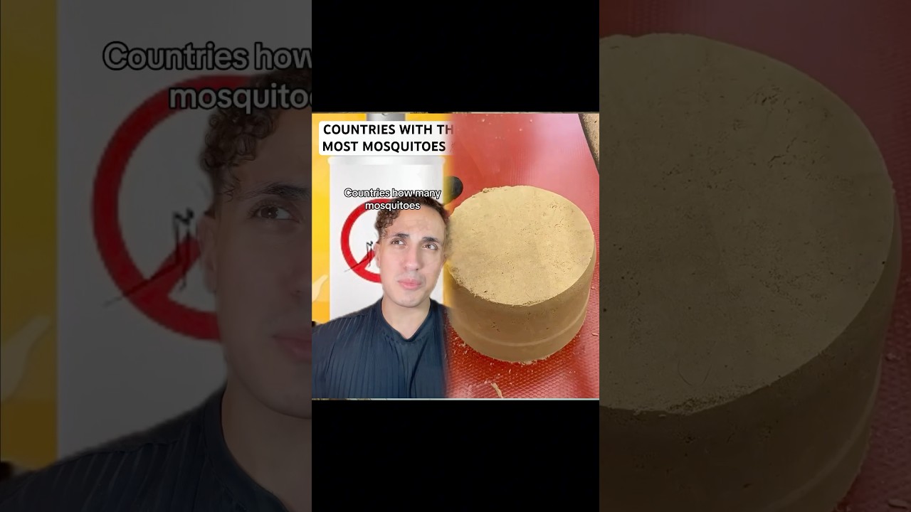 Countries With The Most Mosquitoes 🦟 