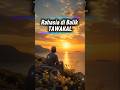 Rahasia di balik TAWAKAL | kata kata motivasi islami 🌙