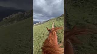 Warê Me Cenge ⛰️✌🏻