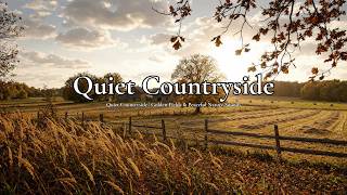 Quiet Countryside | Golden Fields & Peaceful Nature Sounds screenshot 5