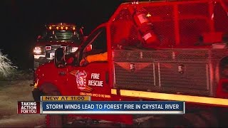 Brush fire in Citrus County