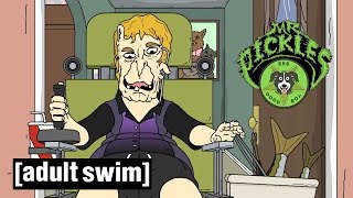 The Intelligence Command Centre | New Mr Pickles | Adult Swim