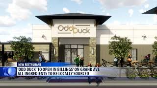 Odd Duck restaurant to open in Billings