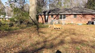Marco & Lincoln 20140227 4