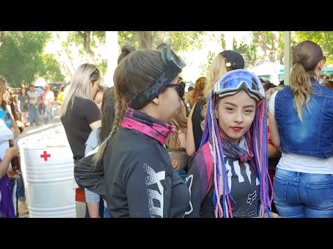 Vivo Desde Aldama camera iphone 8 plus apk