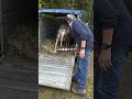 彼はこの特許鎧を発明した
