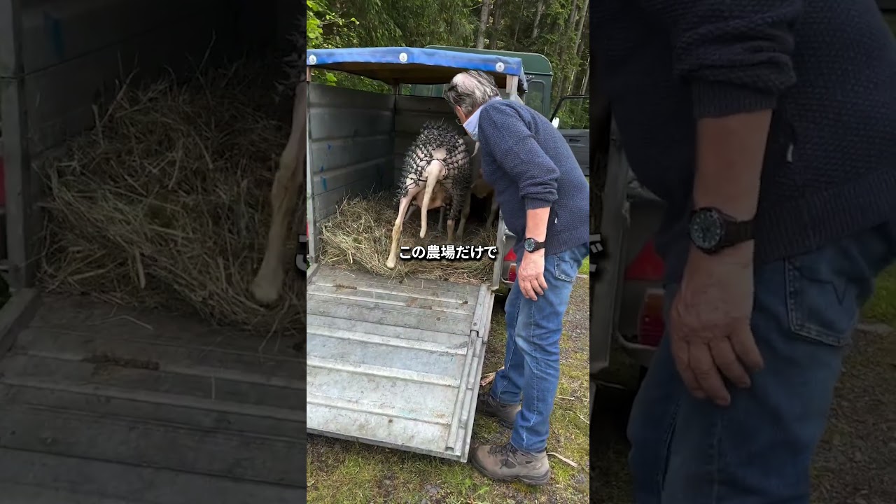 彼はこの特許鎧を発明した