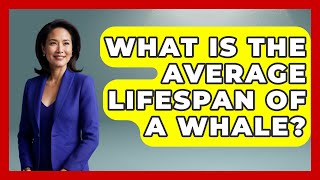 What Is the Average Lifespan of a Whale? | The Marine Life Explorer Whale Average Lifespan