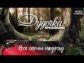 Дудочка Крысолова. Криминальный триллер HD. Все серии подряд.