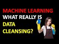 High Level Data Cleansing in Action