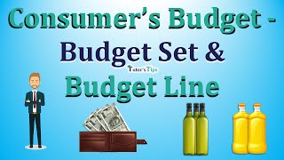 Consumer’s Budget- Budget set and Budget Line - Explained with Animated Examples