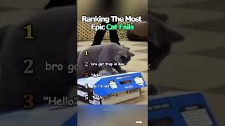 Ranking The Most Epic Cat Fails Ever