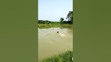 desi swimming pool 😄.#ytshorts#shortsfeed