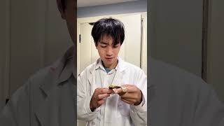 Harley Quinn punishes greed#comedy  #funny