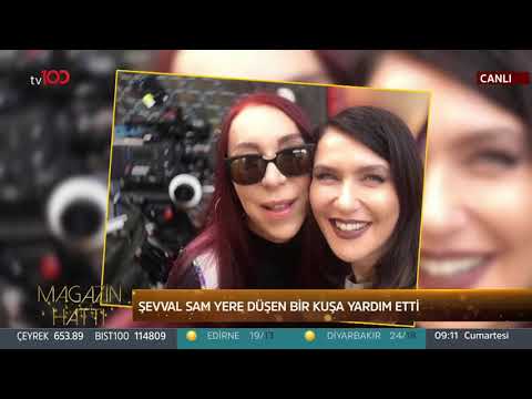 Magazin Hattı -