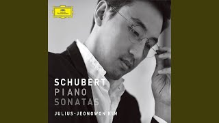 Schubert: Piano Sonata No. 13 in A Major, D.664 - 3. Allegro