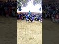 Rokas Danseur De Alpha Agbodo En Schéma