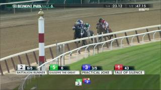 Practical Joke - 2017 Dwyer Stakes