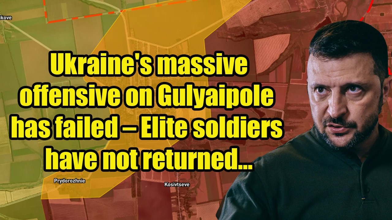 Not Offensive Ukraine's massive offensive on Gulyaipole has failed – Elite soldiers ...