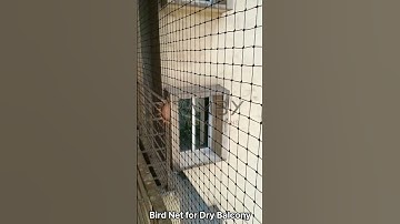 Anti Bird Net for Balcony by Ramby Nettings - www. rambynettings.in