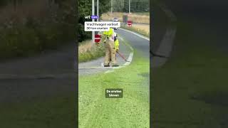 Thumbnail for Vrachtwagen verliest 30 ton erwten