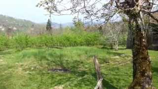 20130402_141729