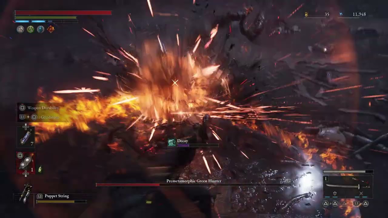 Premetamorphic Green Hunter