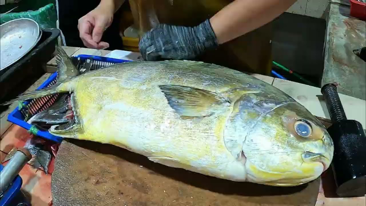 Satisfying Giant Golden Pompano Cutting Skills | Professional Fishmonger Filleting